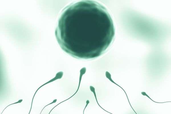 Votre texte de paragraphe (1)